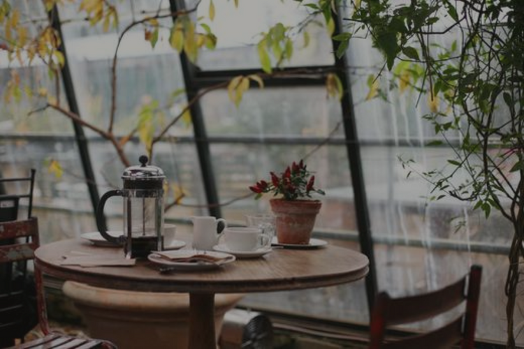 Healthy Benefits of Drinking Tea or Coffee